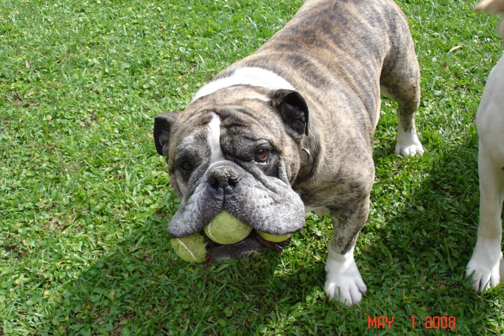 Edgar with tennis balls